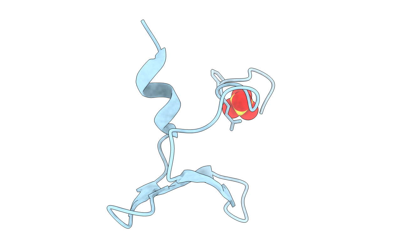 4REX image