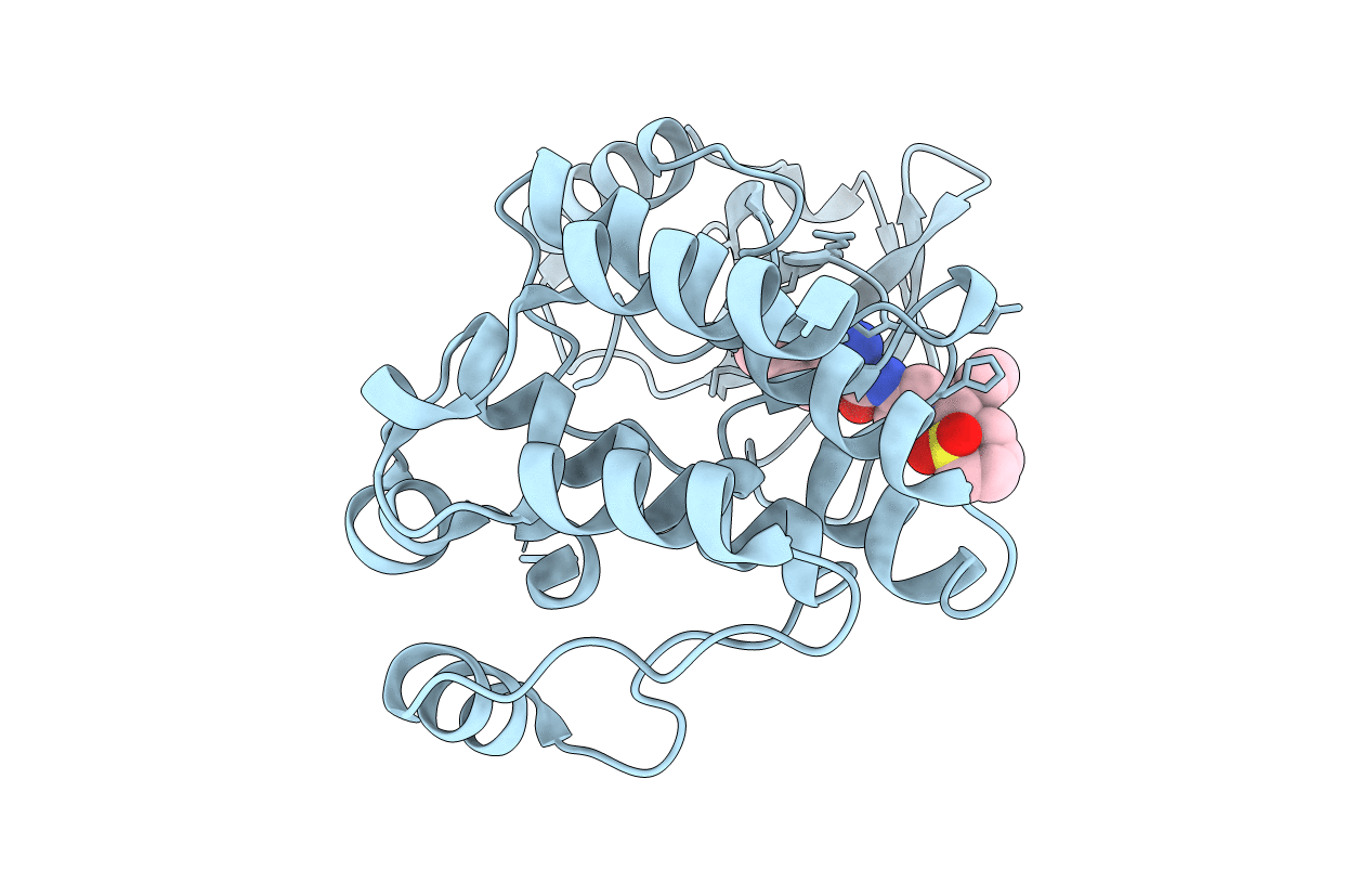 4RFM image