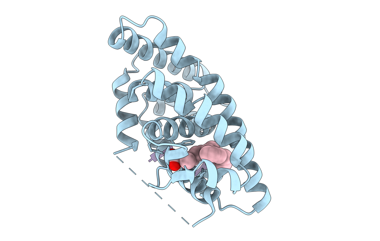 4RFW image