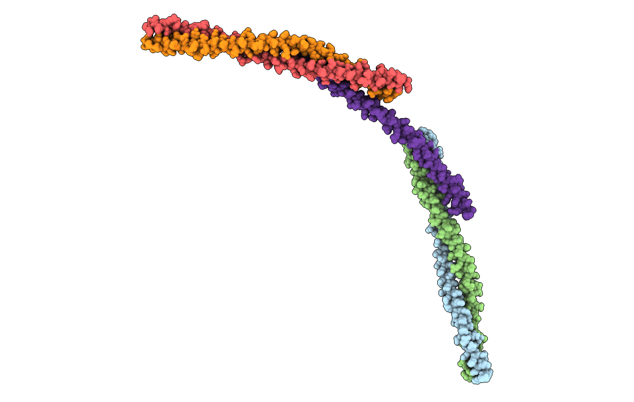 4RFX image