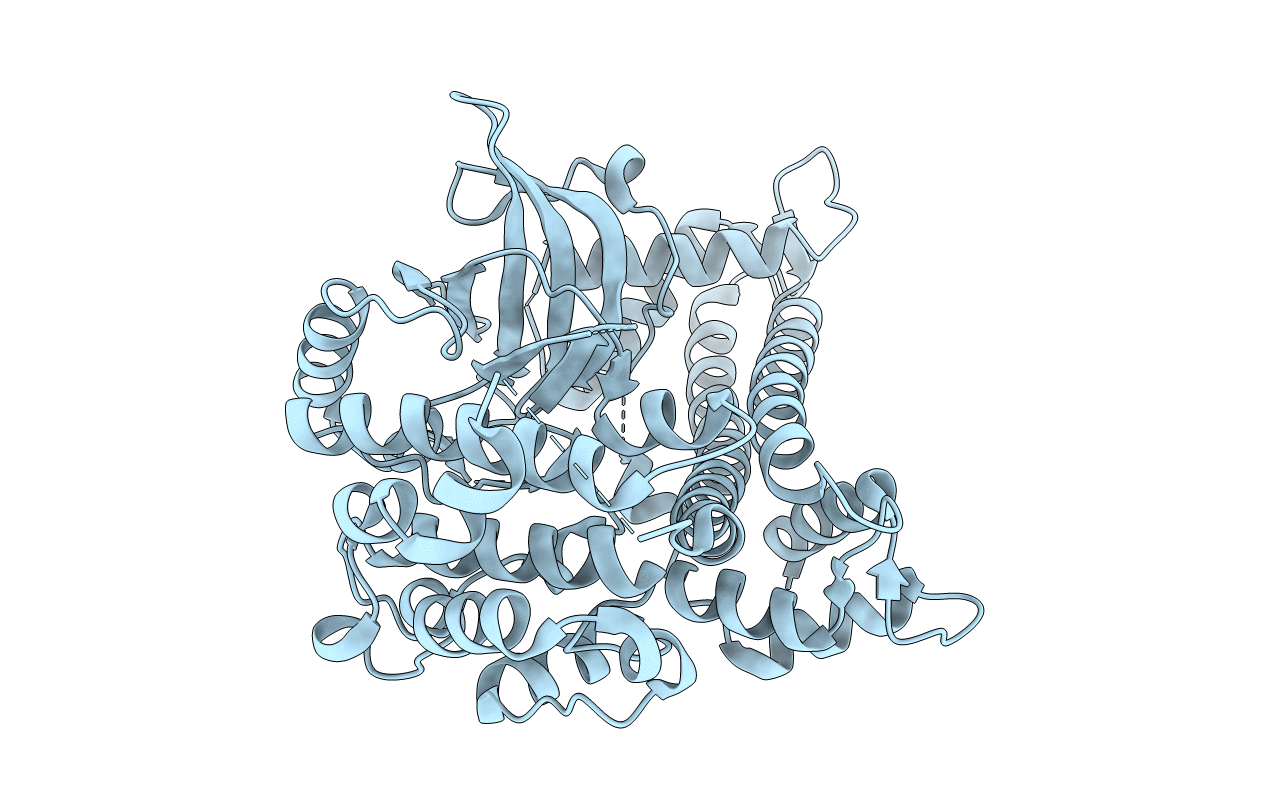 4RGJ image
