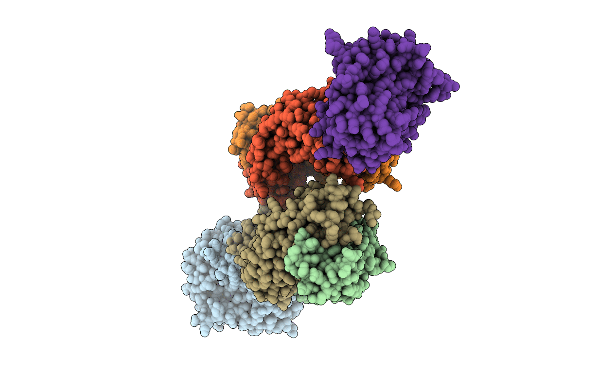 4RGM image