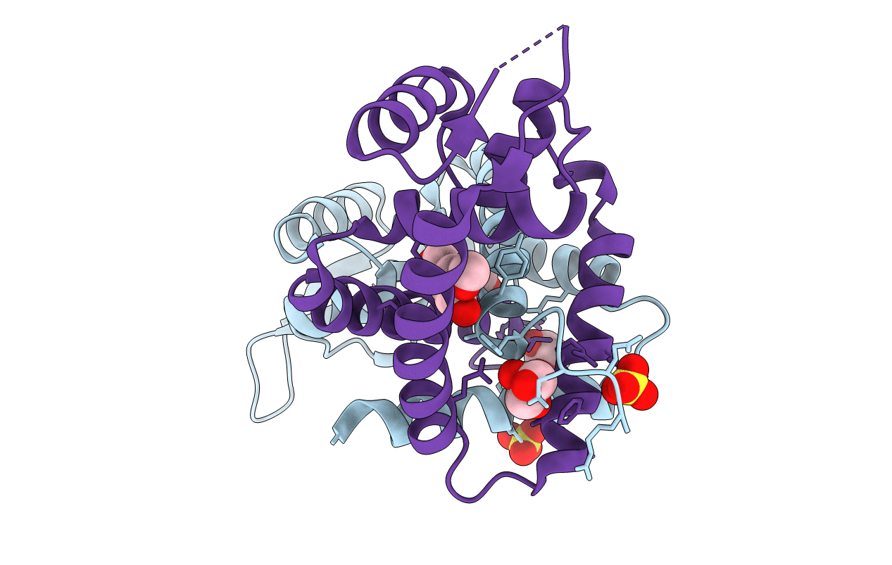 4RGS image