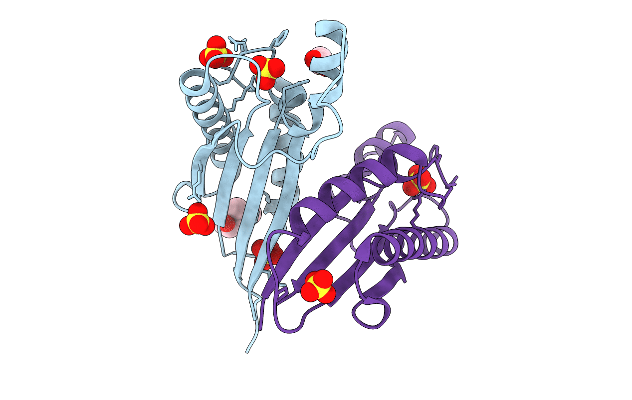 4RHA image