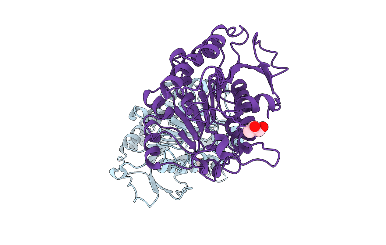 4RHI image
