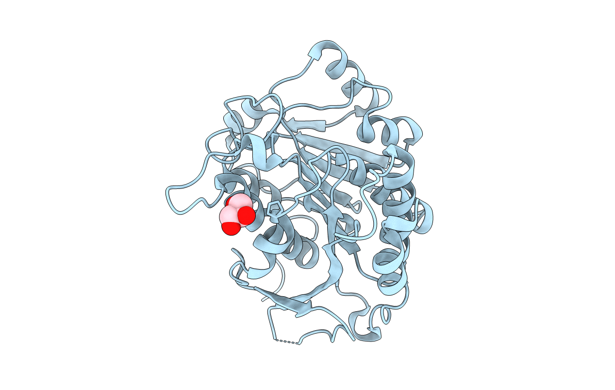4RHK image