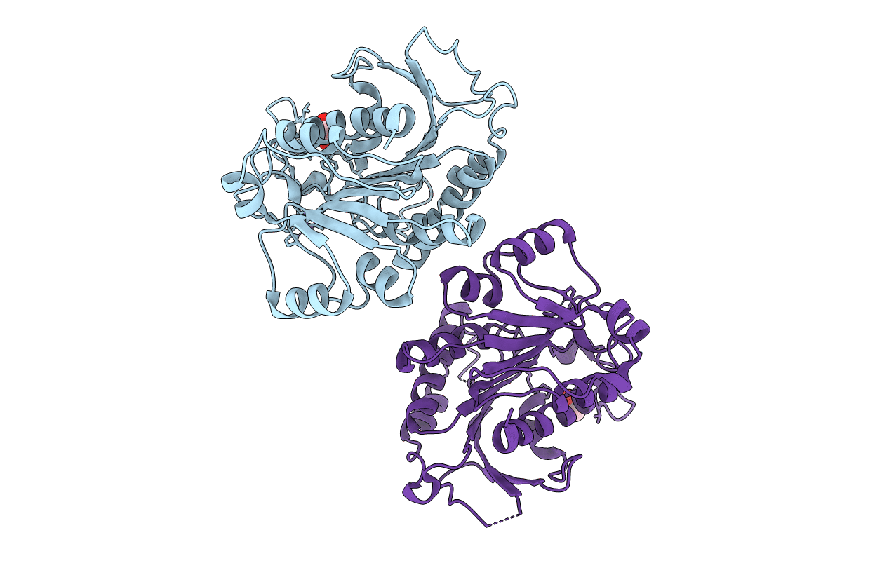 4RHL image