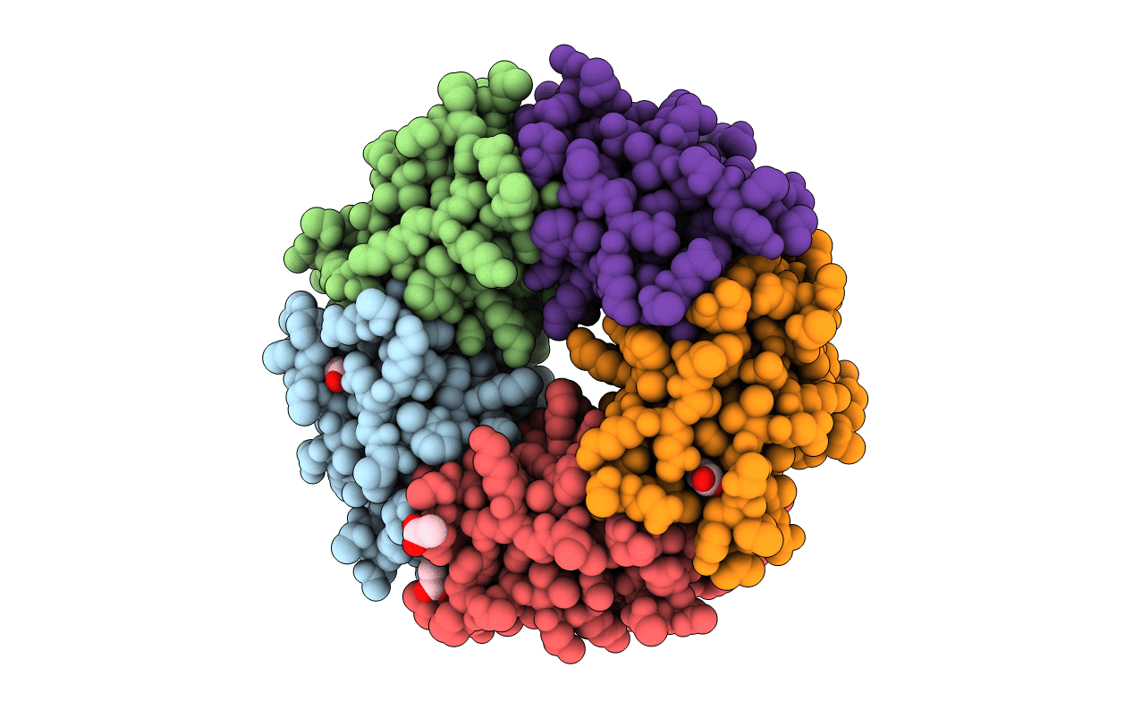 4RHR image