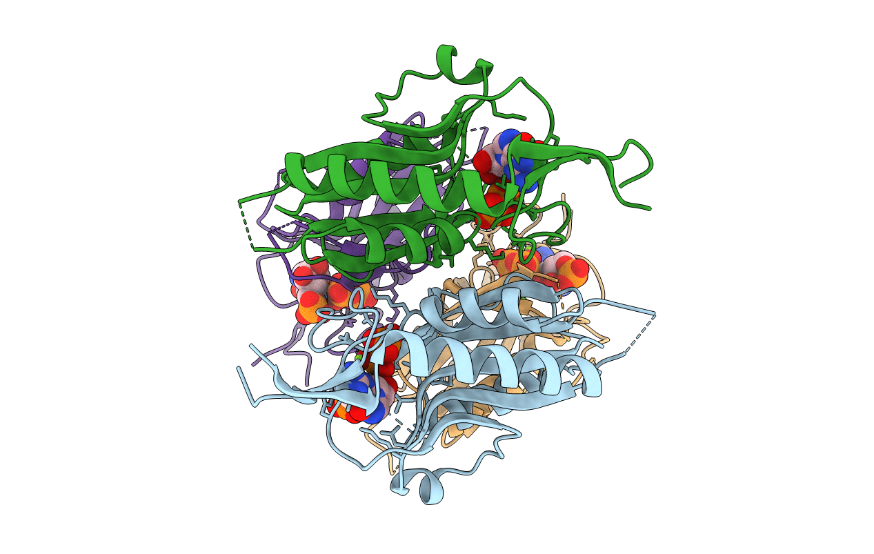 4RHT image