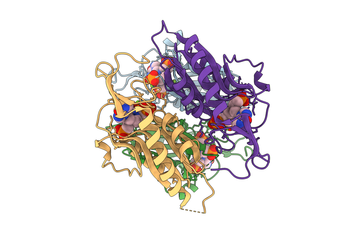 4RHY image