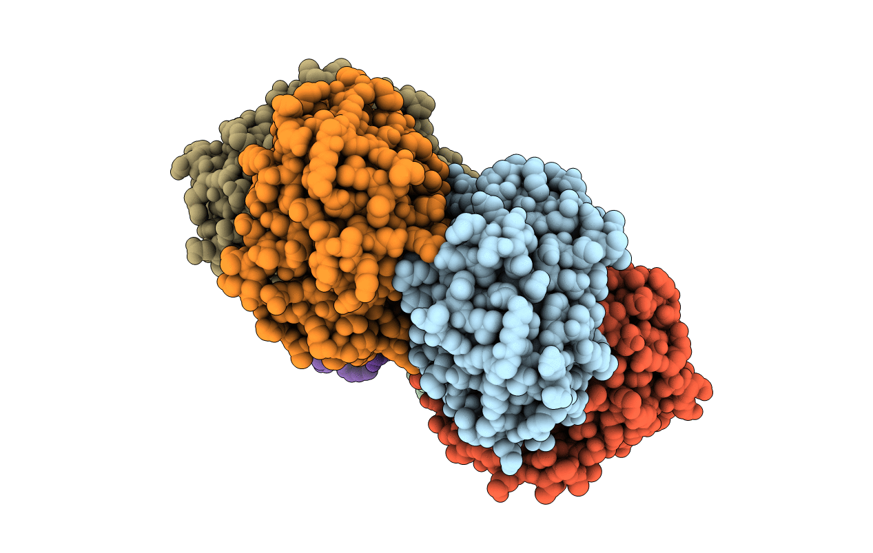 4RJ2 image