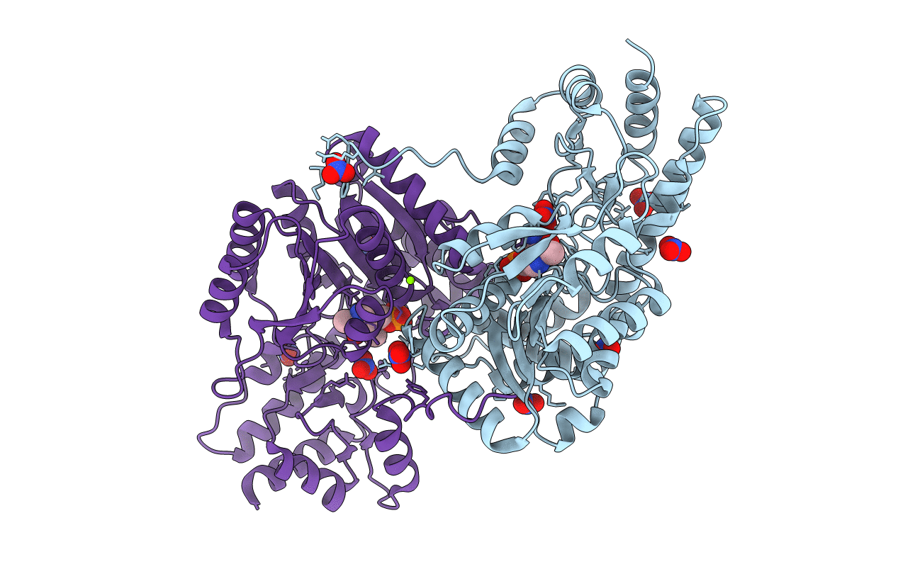 4RKC image