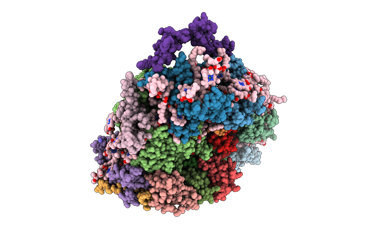 4RKU image