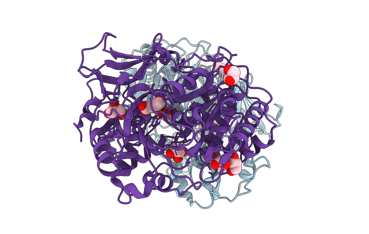 4RLQ image