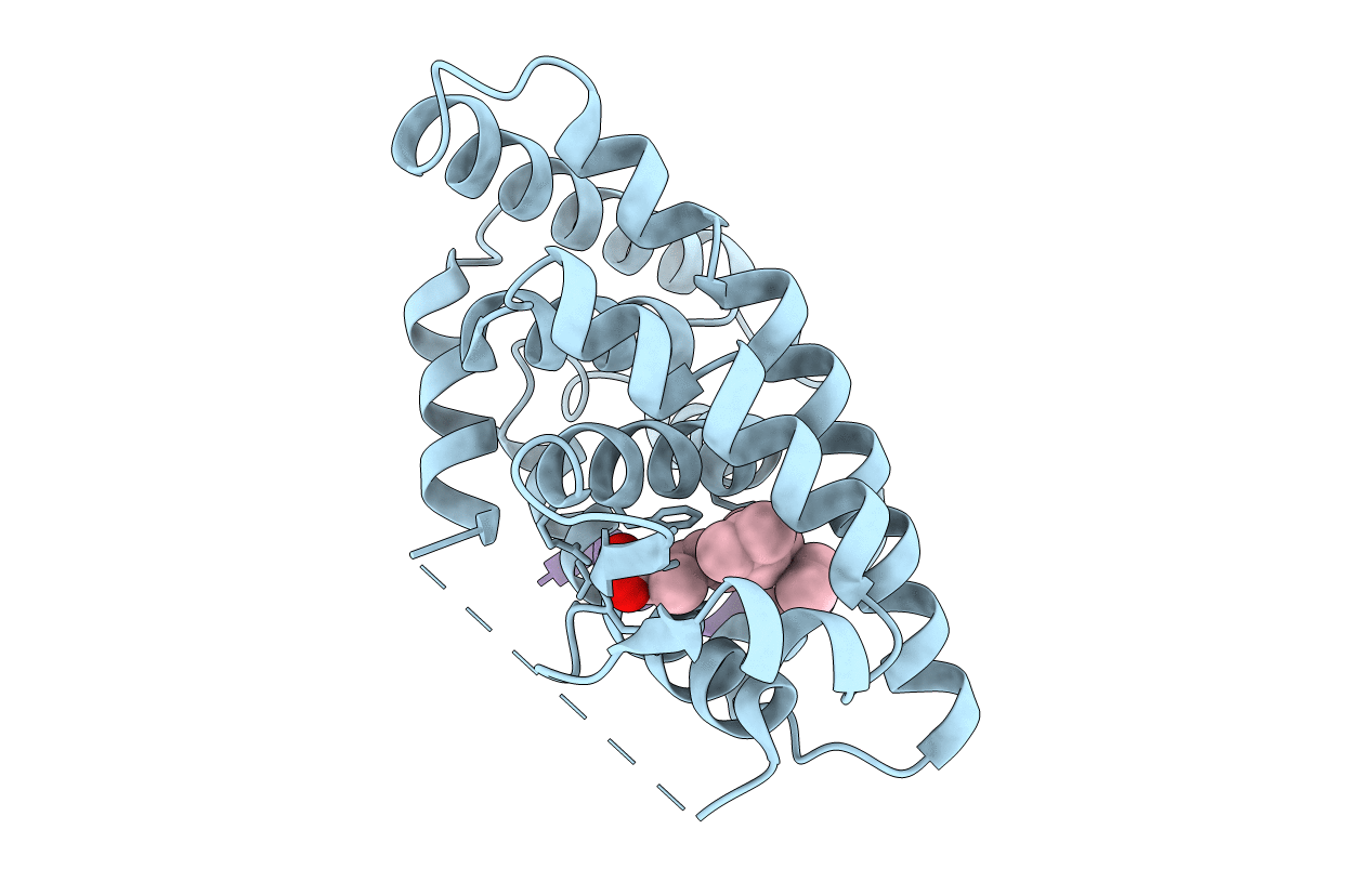 4RMC image