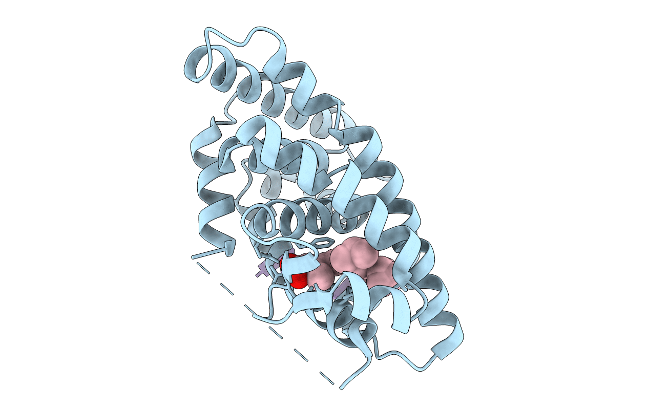 4RMD image