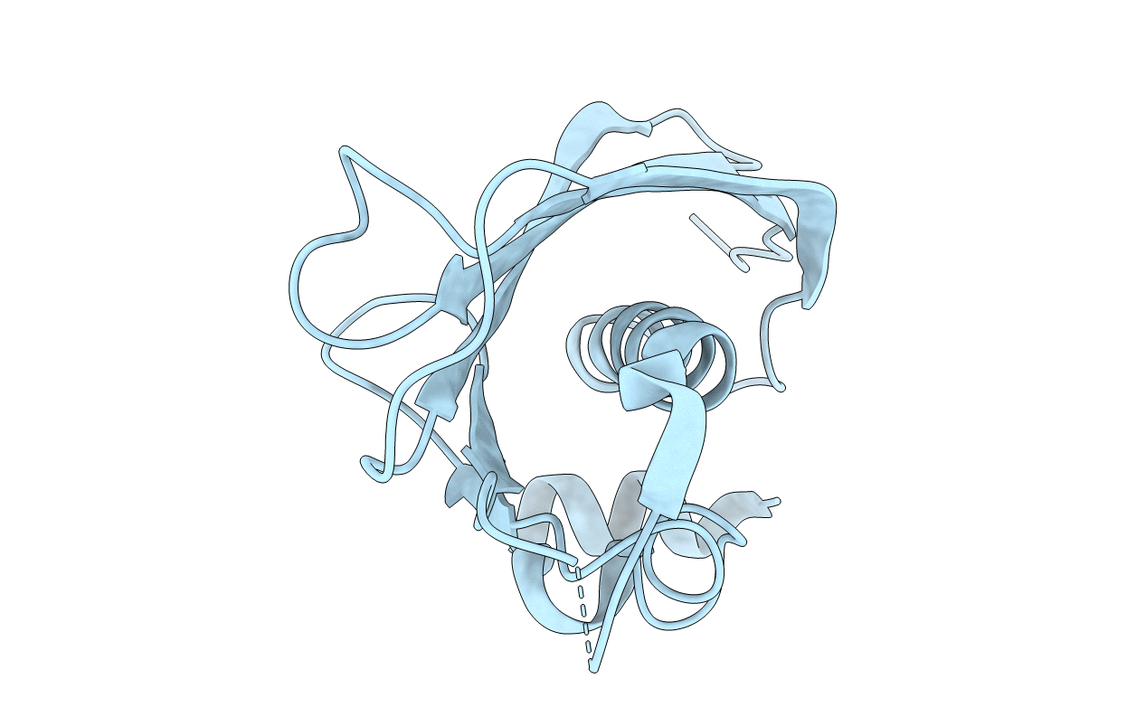 4RMM image