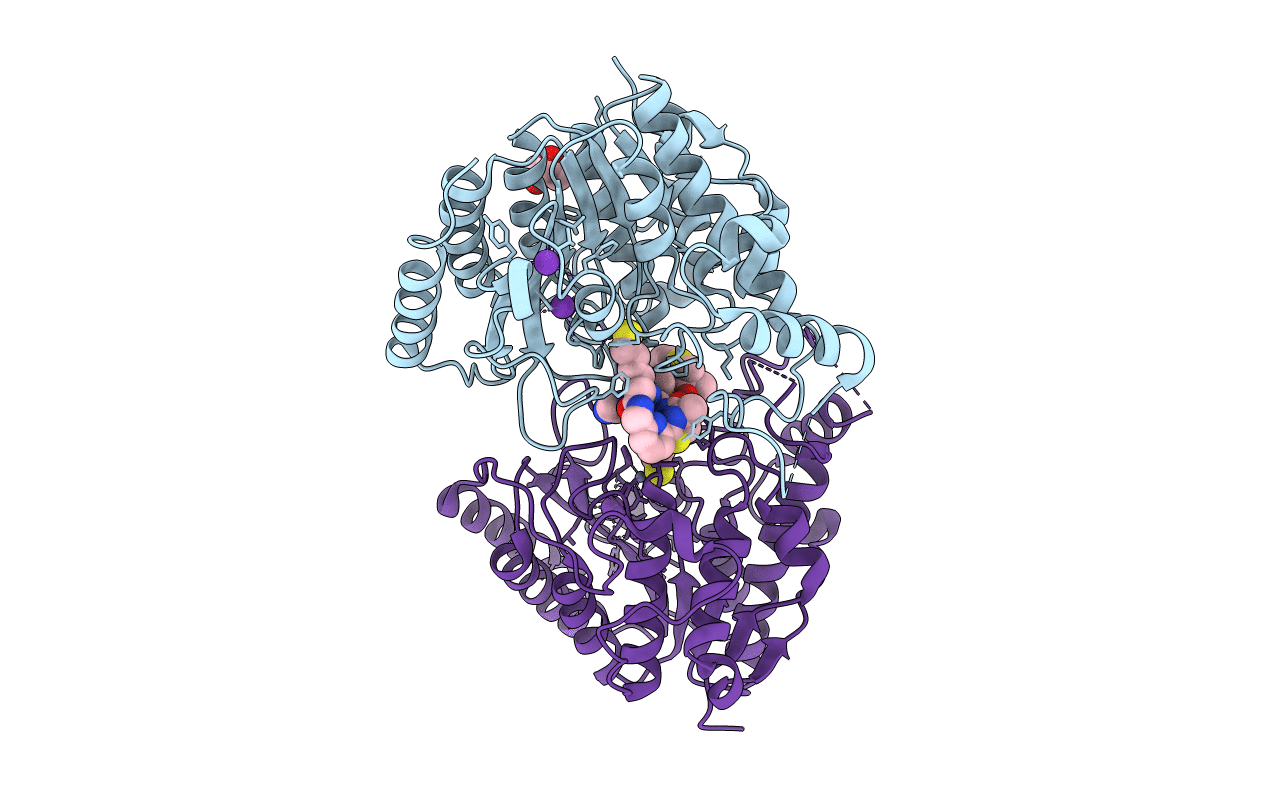 4RN1 image