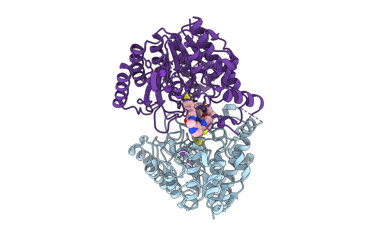 4RN2 image