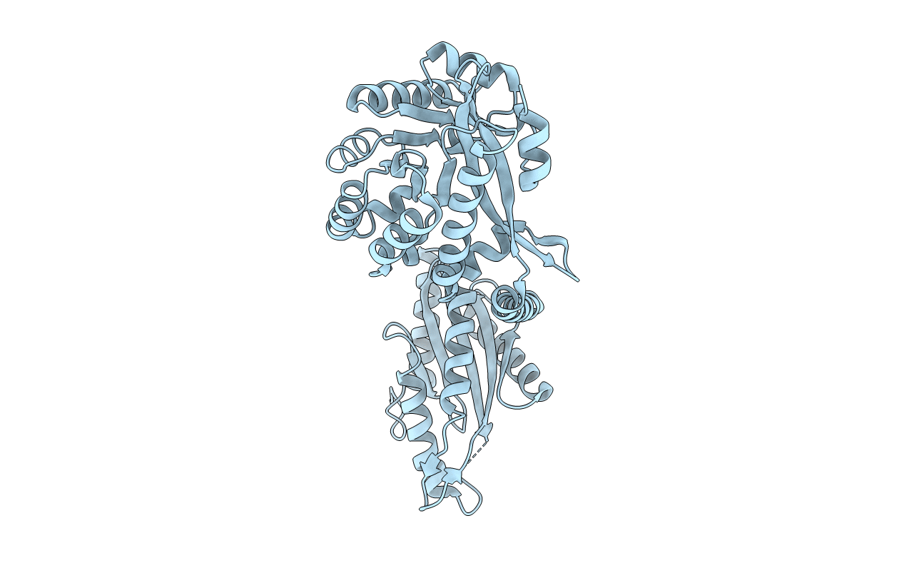 4RNF image
