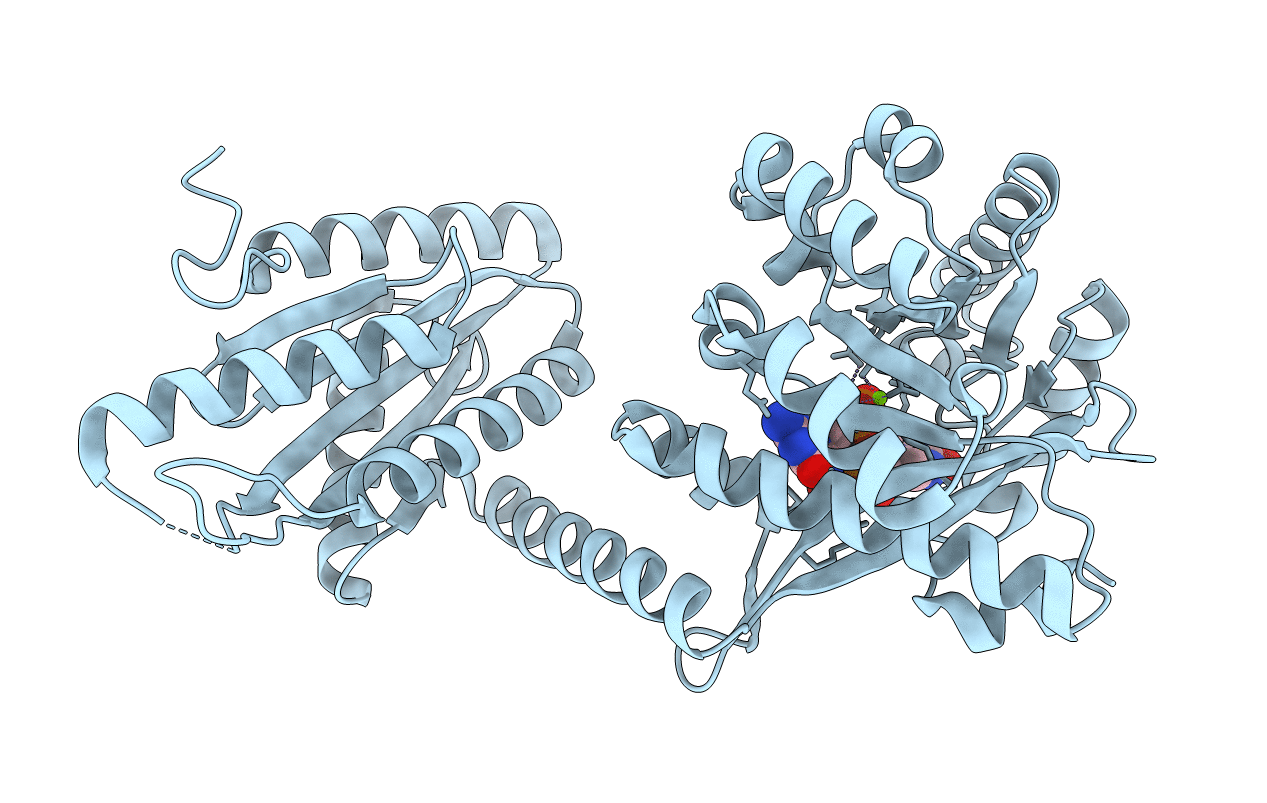 4RNH image