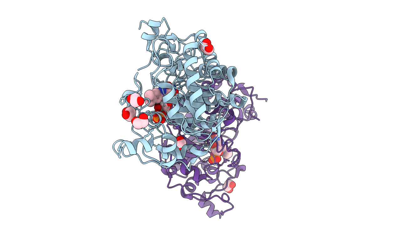4RNX image