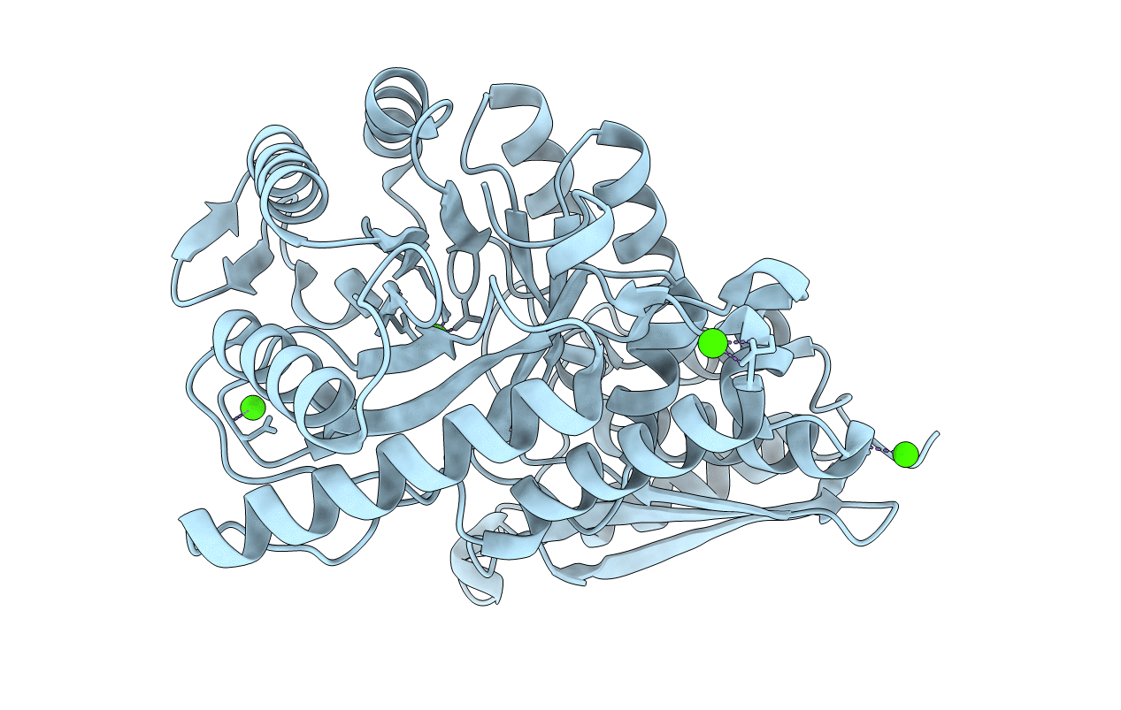 4ROP image
