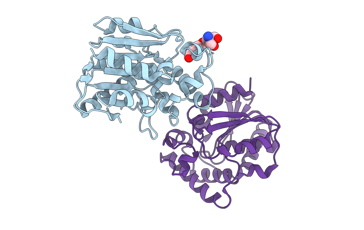 4RPC image