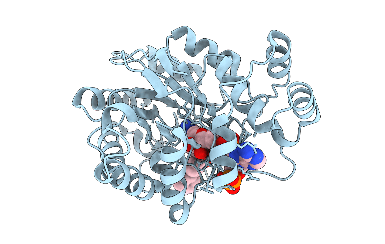 4RPQ image