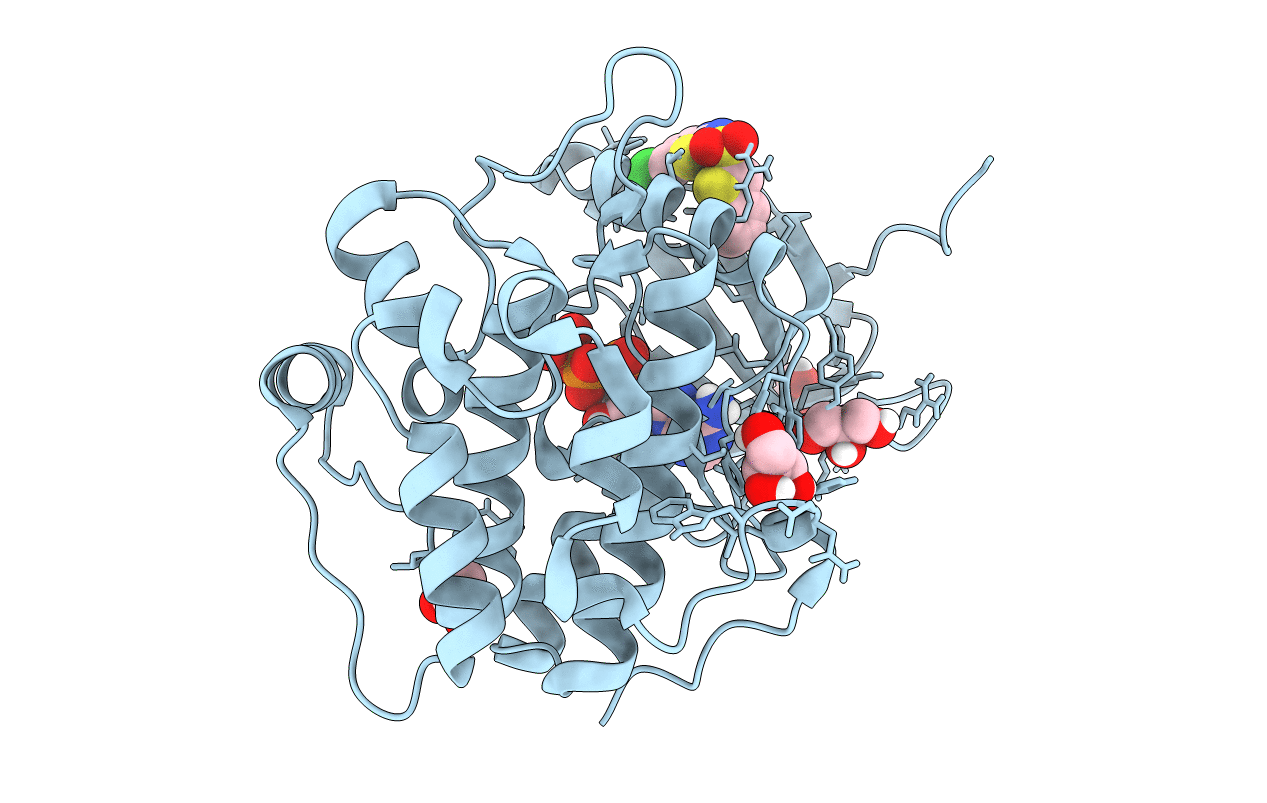 4RQV image