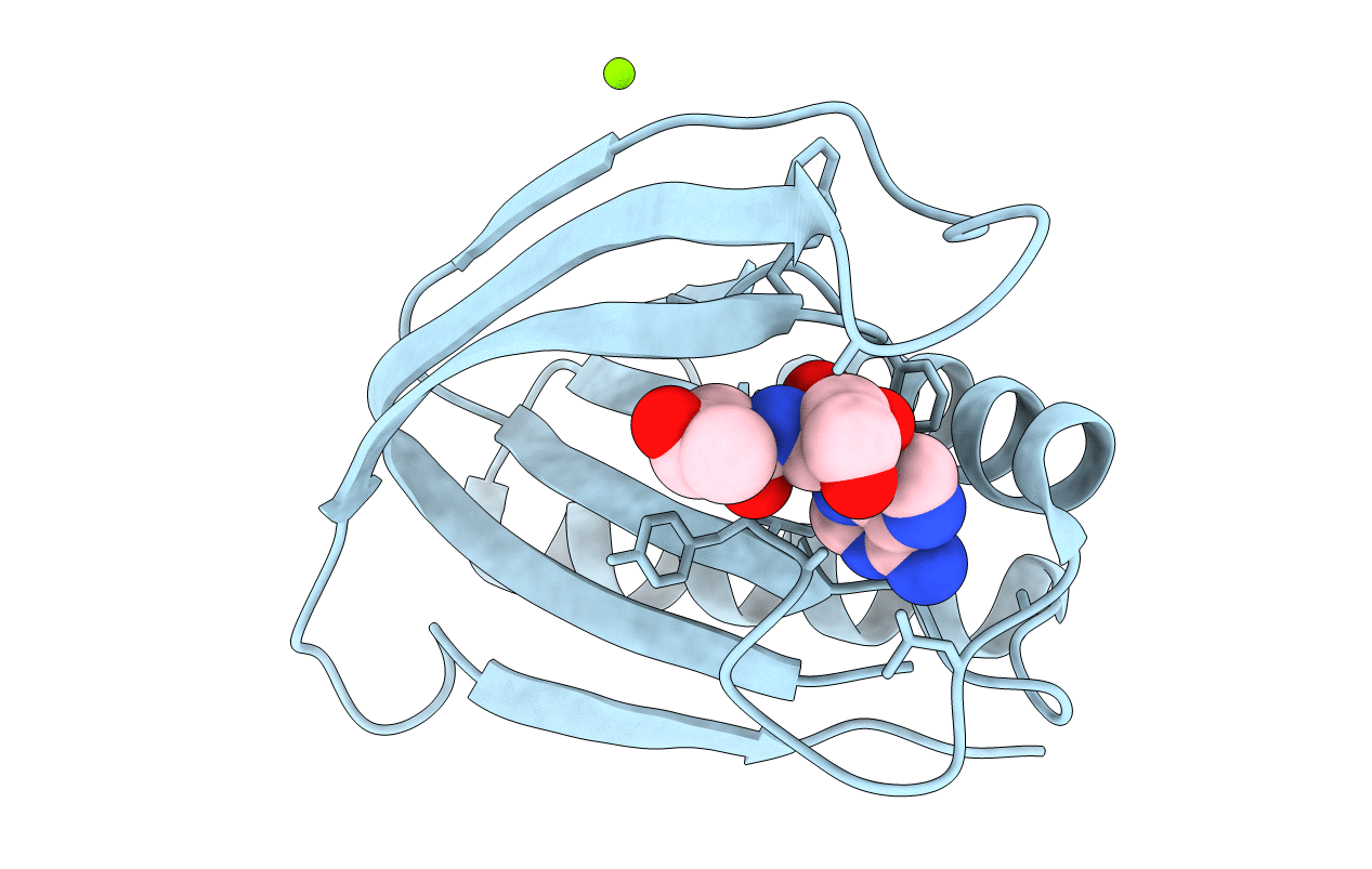 4RRI image