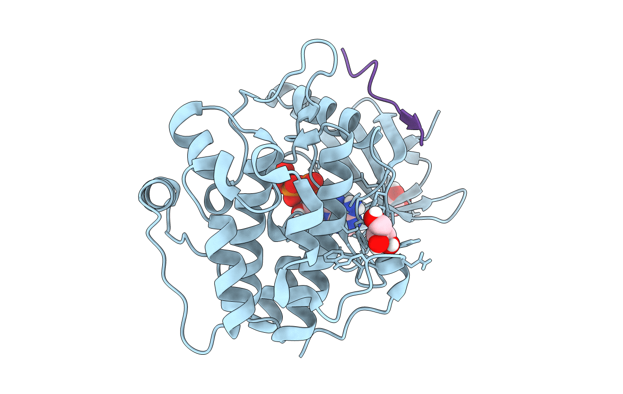4RRV image