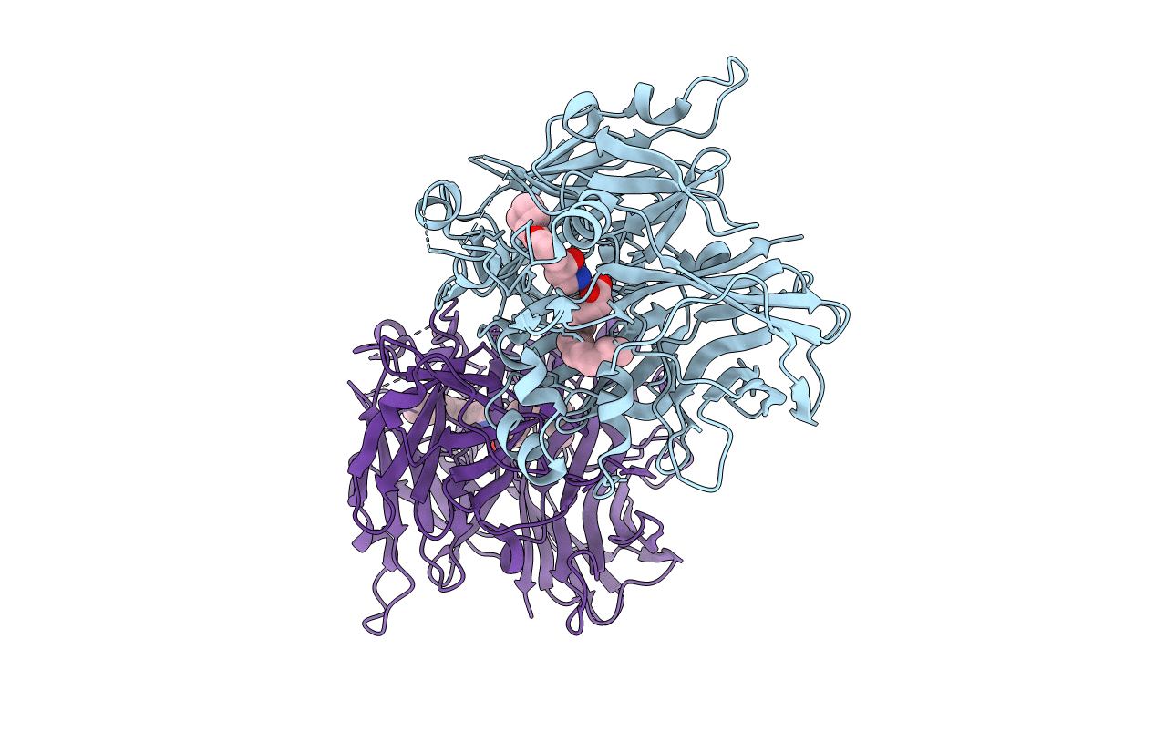 4RSC image