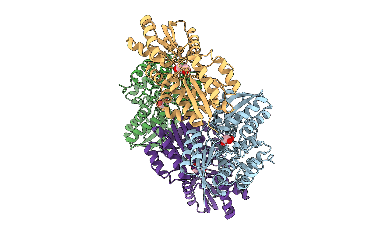 4RSM image