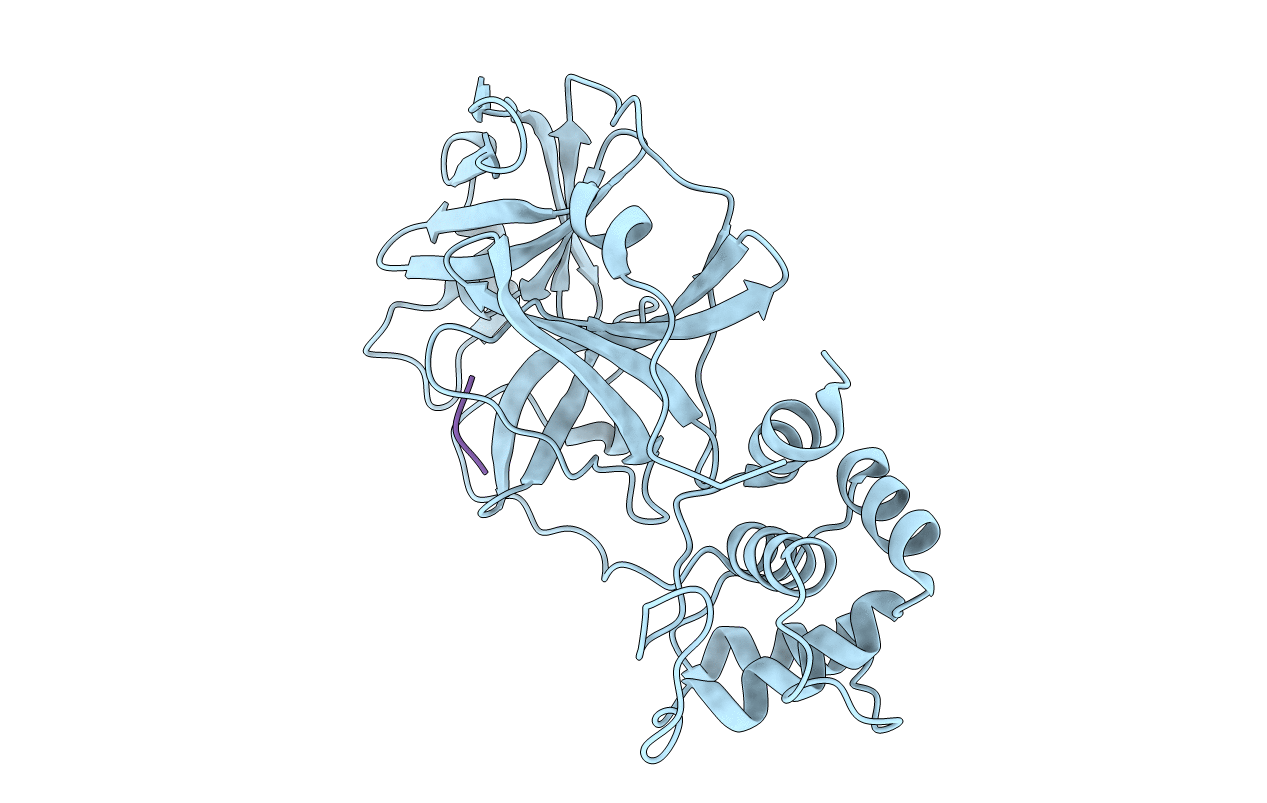 4RSP image