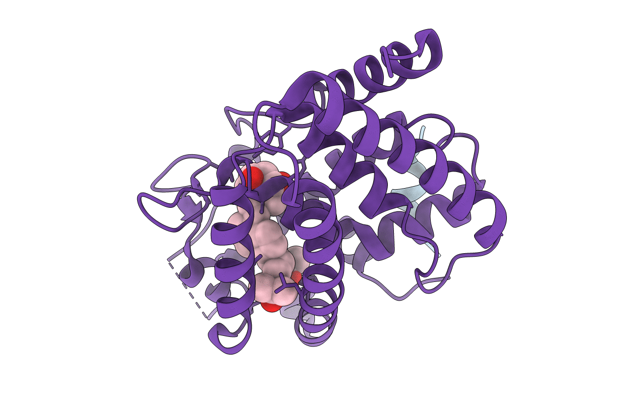 4RUO image