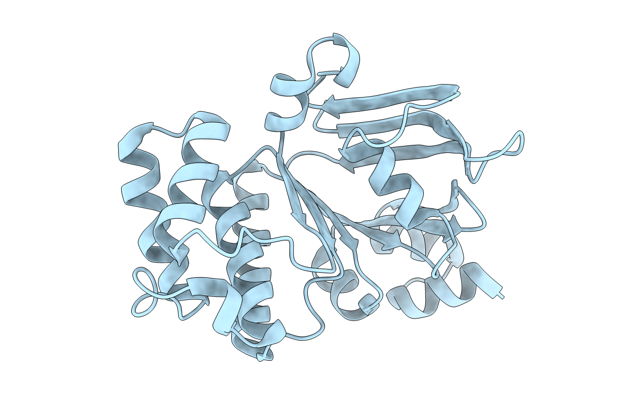 4RVC image