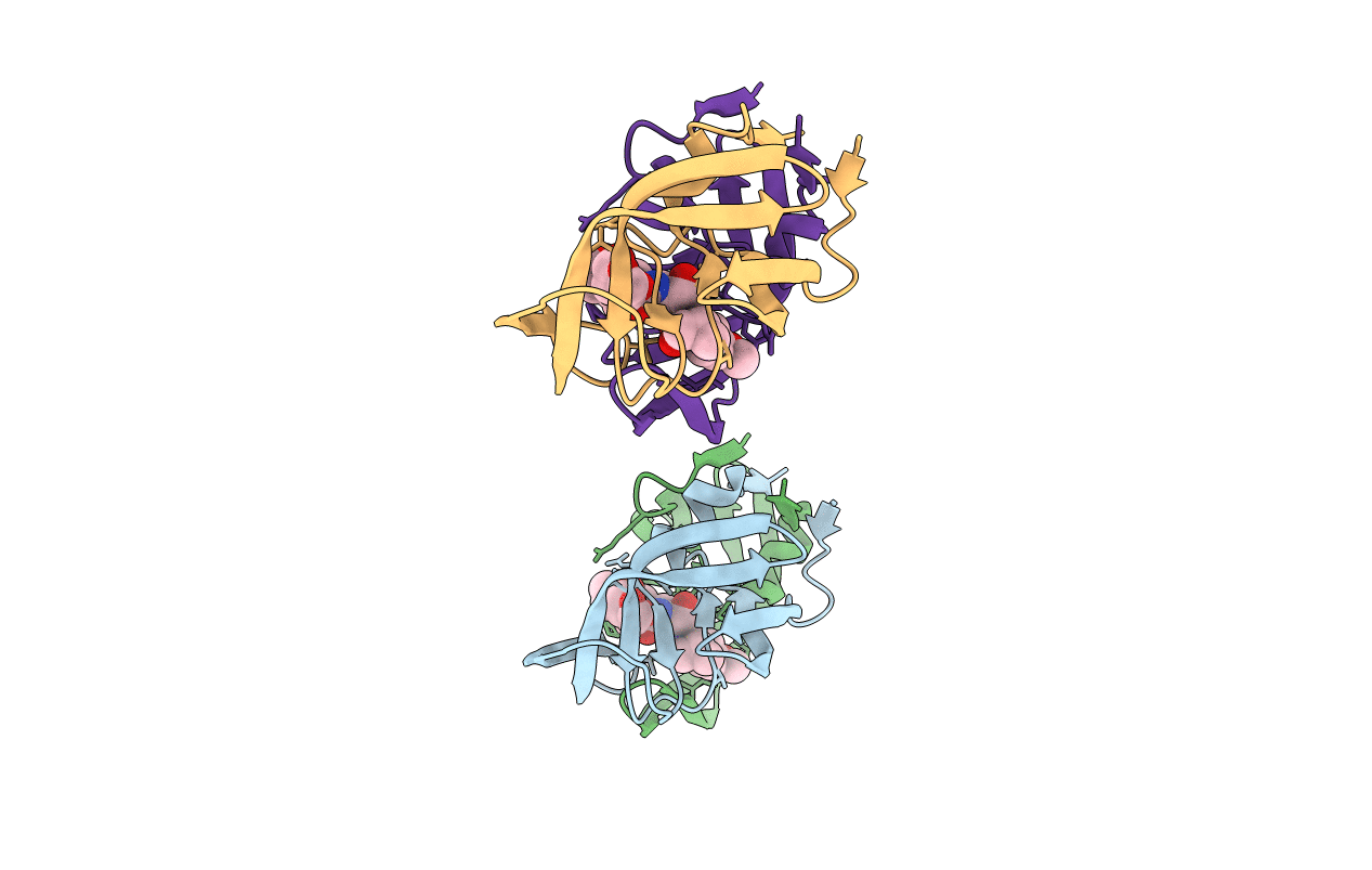 4RVI image