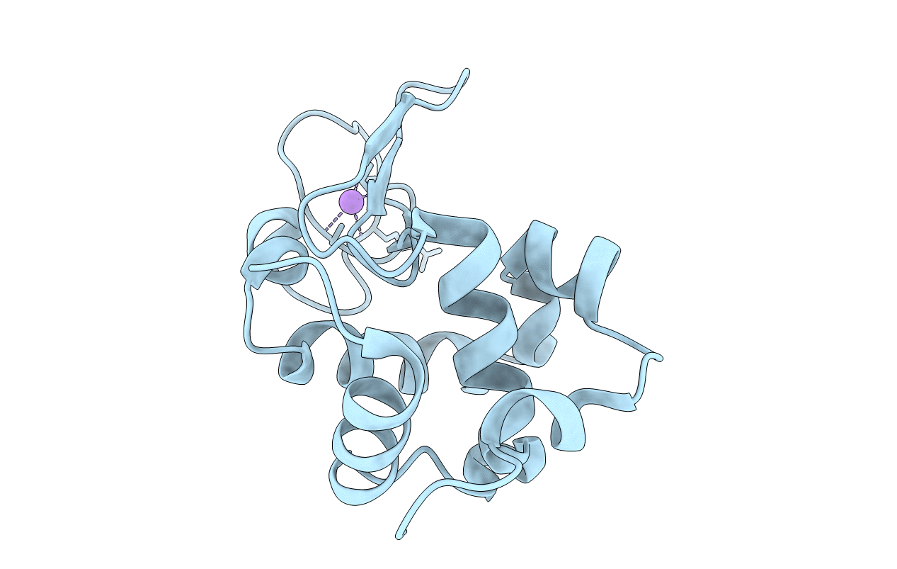 4RW1 image