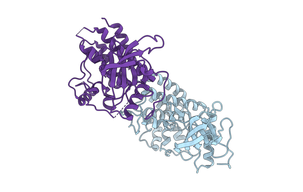 4RWI image
