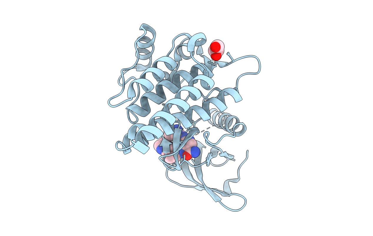 4RX9 image