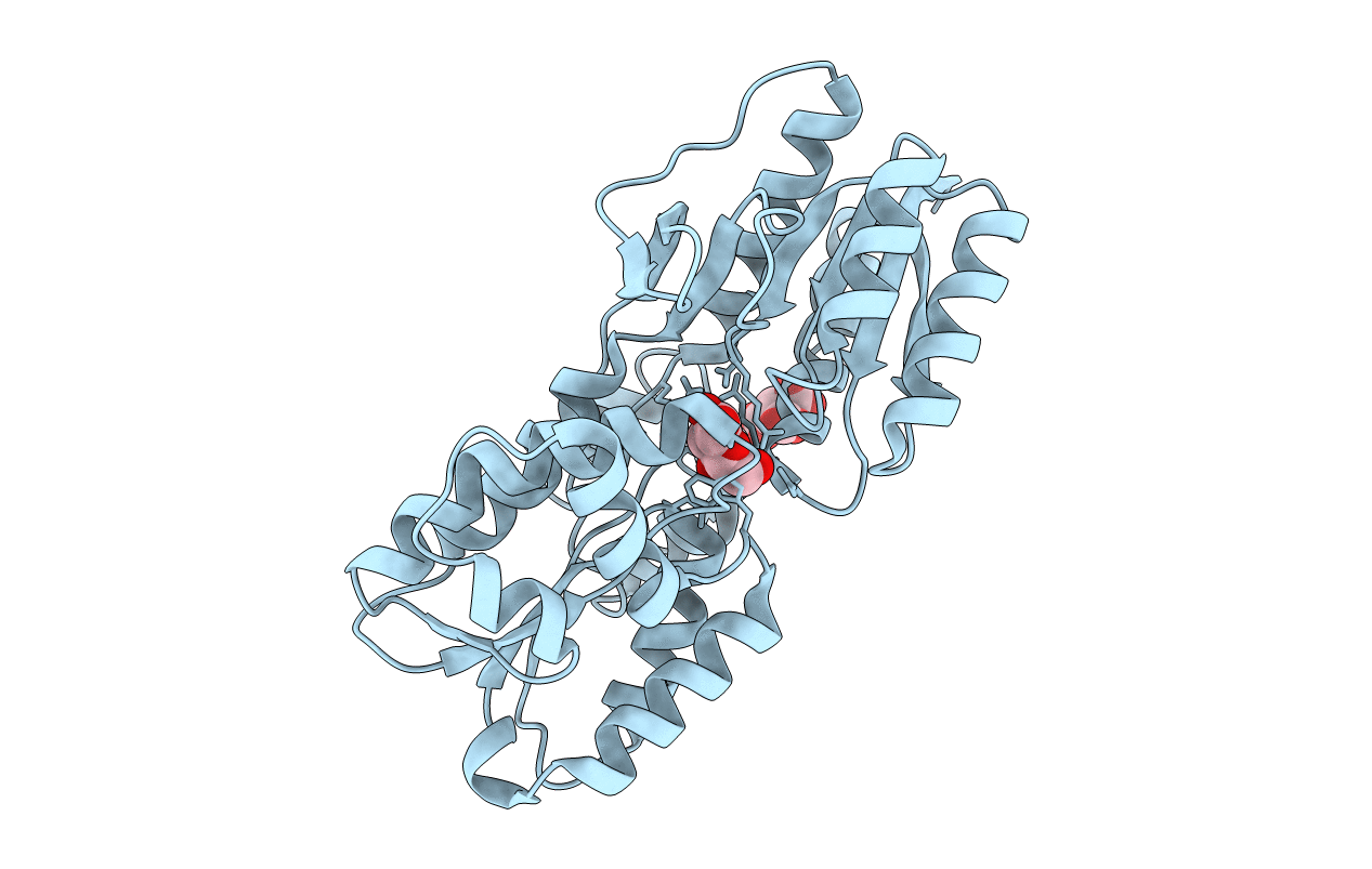 4RXU image