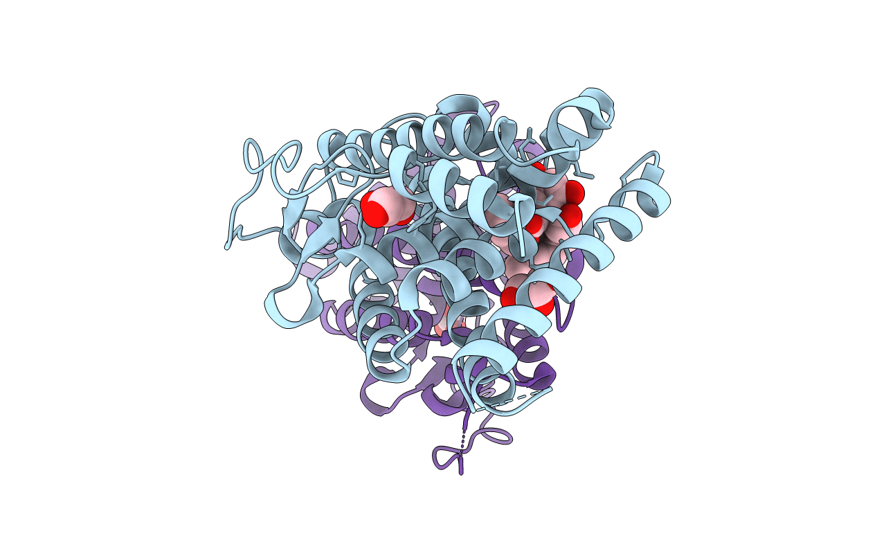 4RZG image