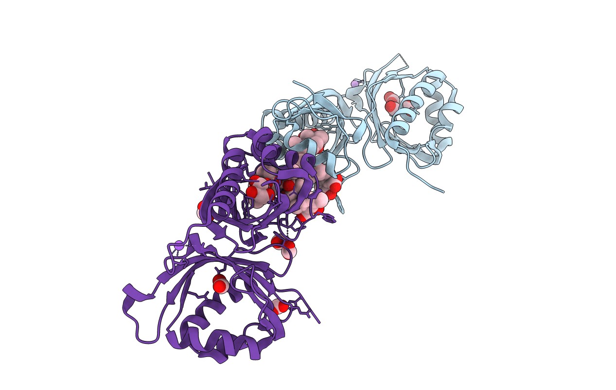 4RZM image