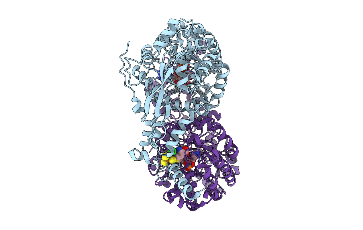 4S26 image