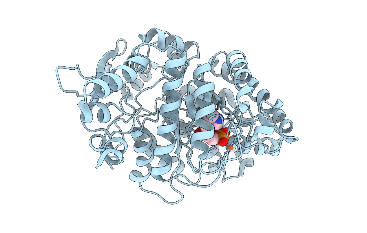 4S29 image