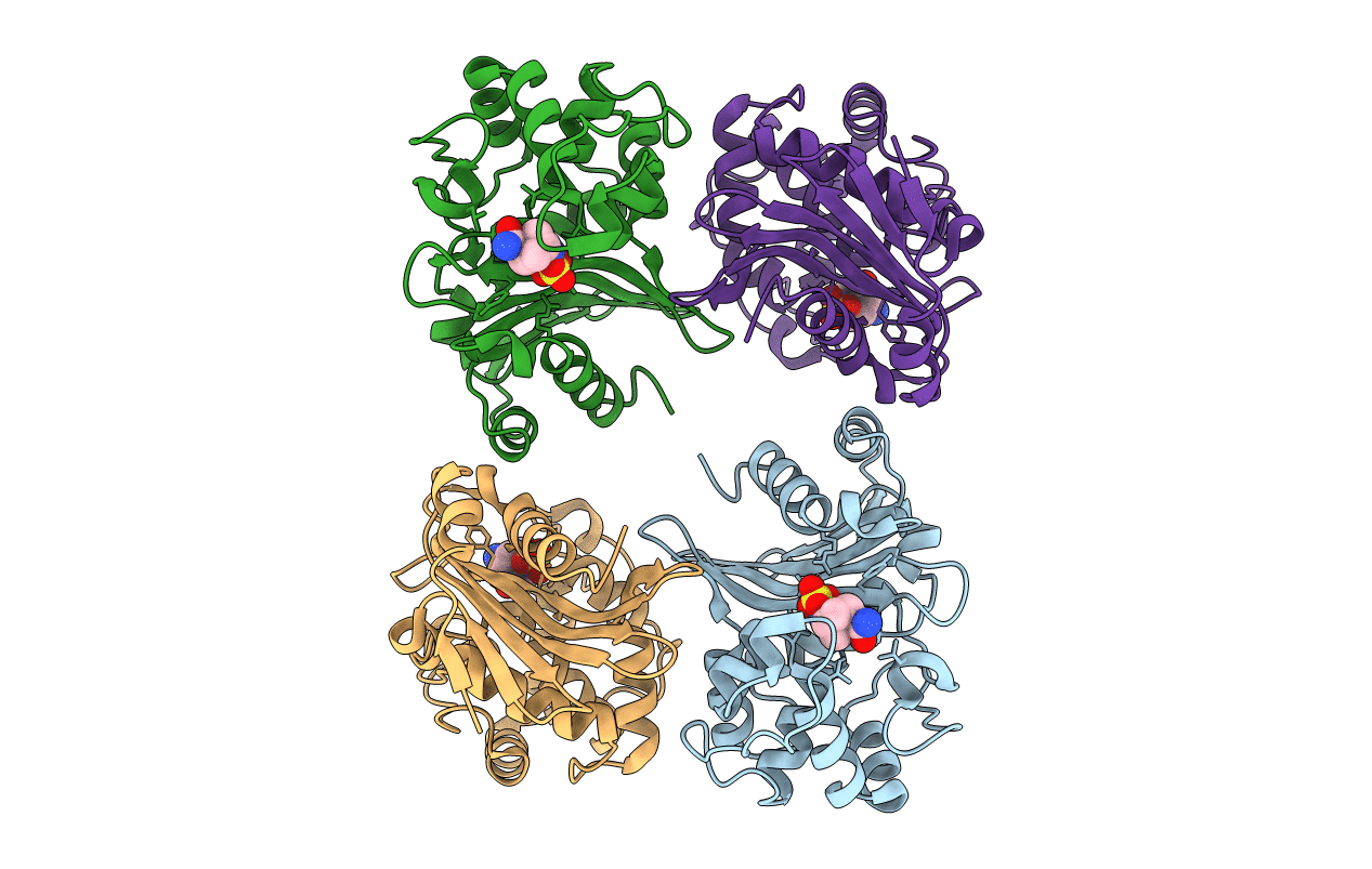 4S2N image