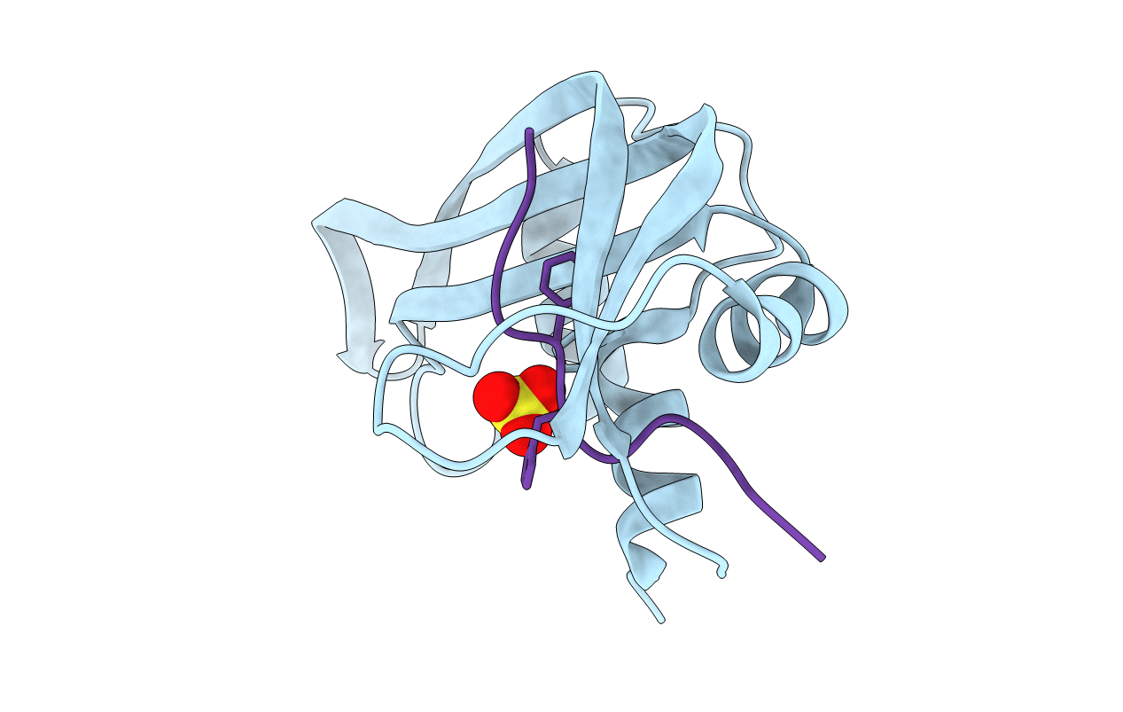4SRN image