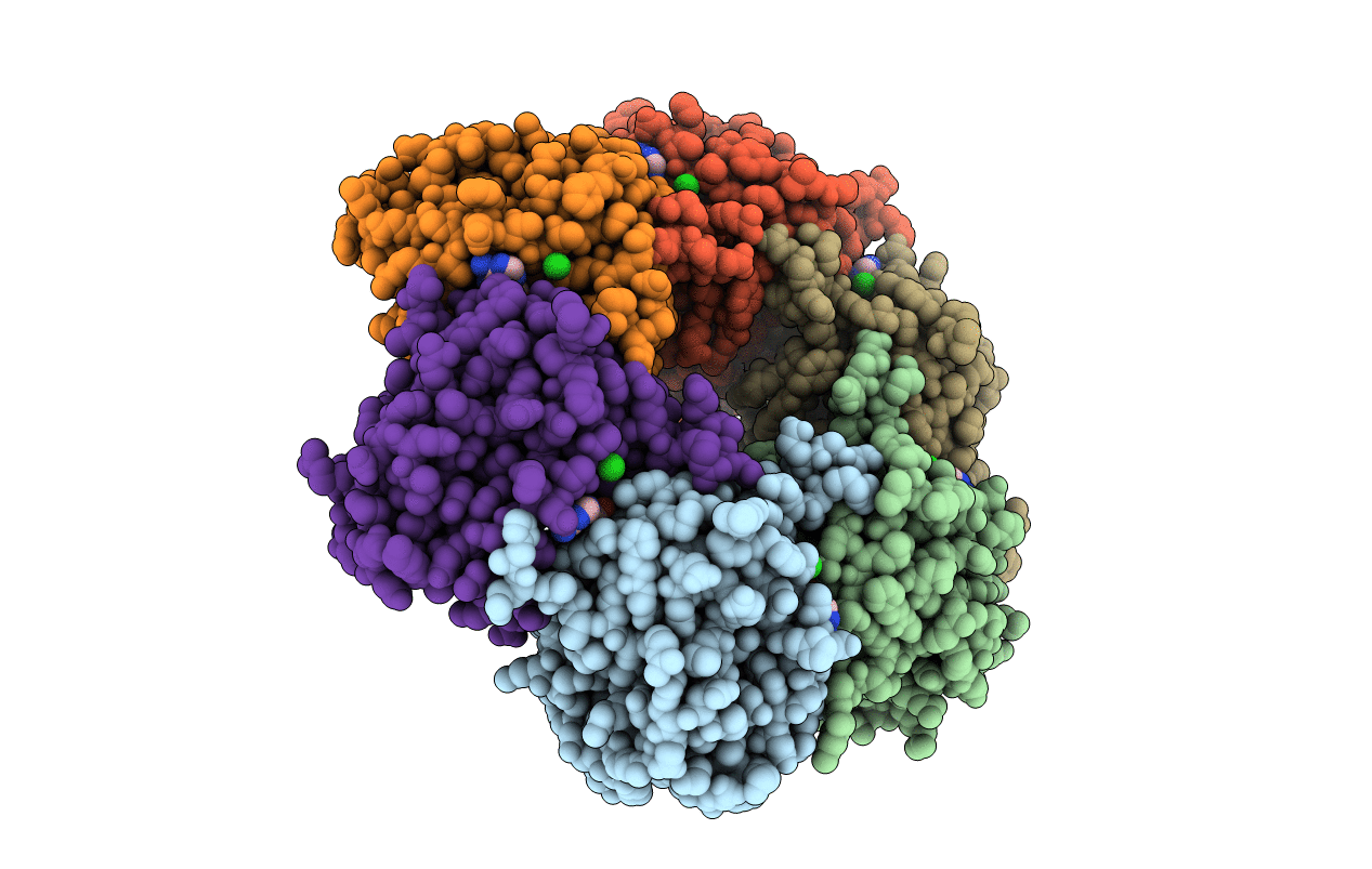 4TLD image