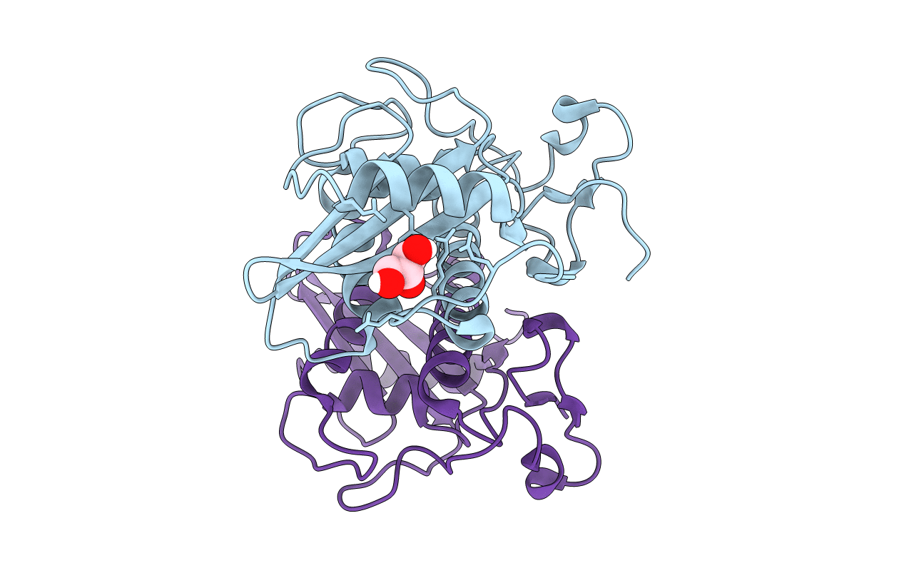 4TPV image